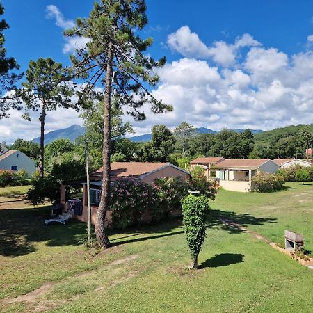 Pinea Mare Otel Poggio Mezzana Dış mekan fotoğraf