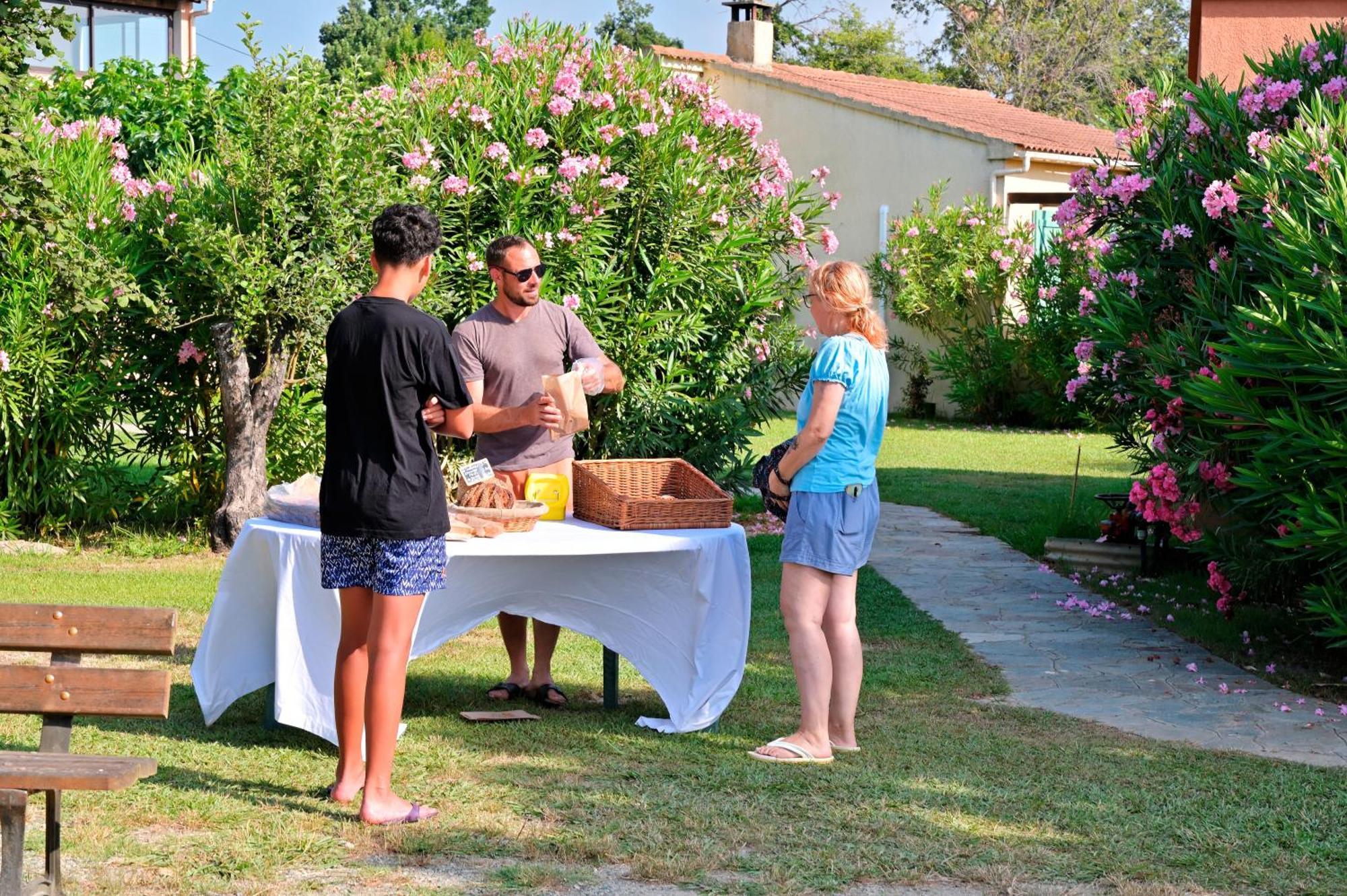 Pinea Mare Otel Poggio Mezzana Dış mekan fotoğraf