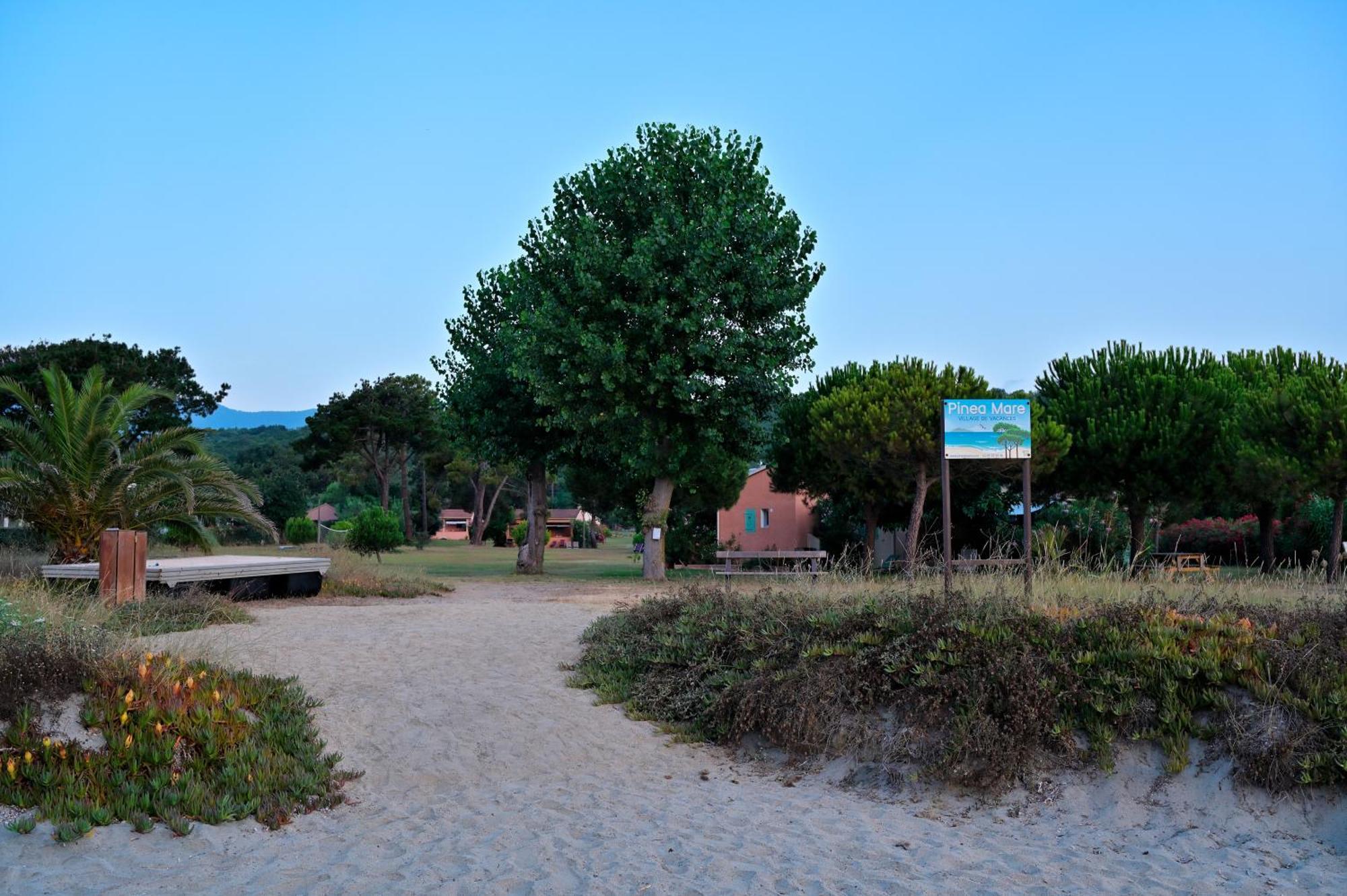 Pinea Mare Otel Poggio Mezzana Dış mekan fotoğraf