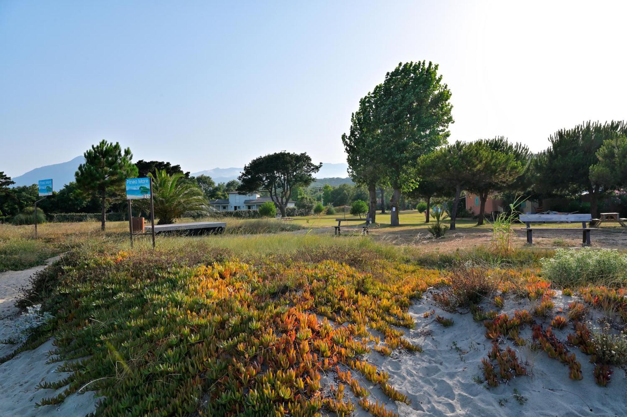 Pinea Mare Otel Poggio Mezzana Dış mekan fotoğraf