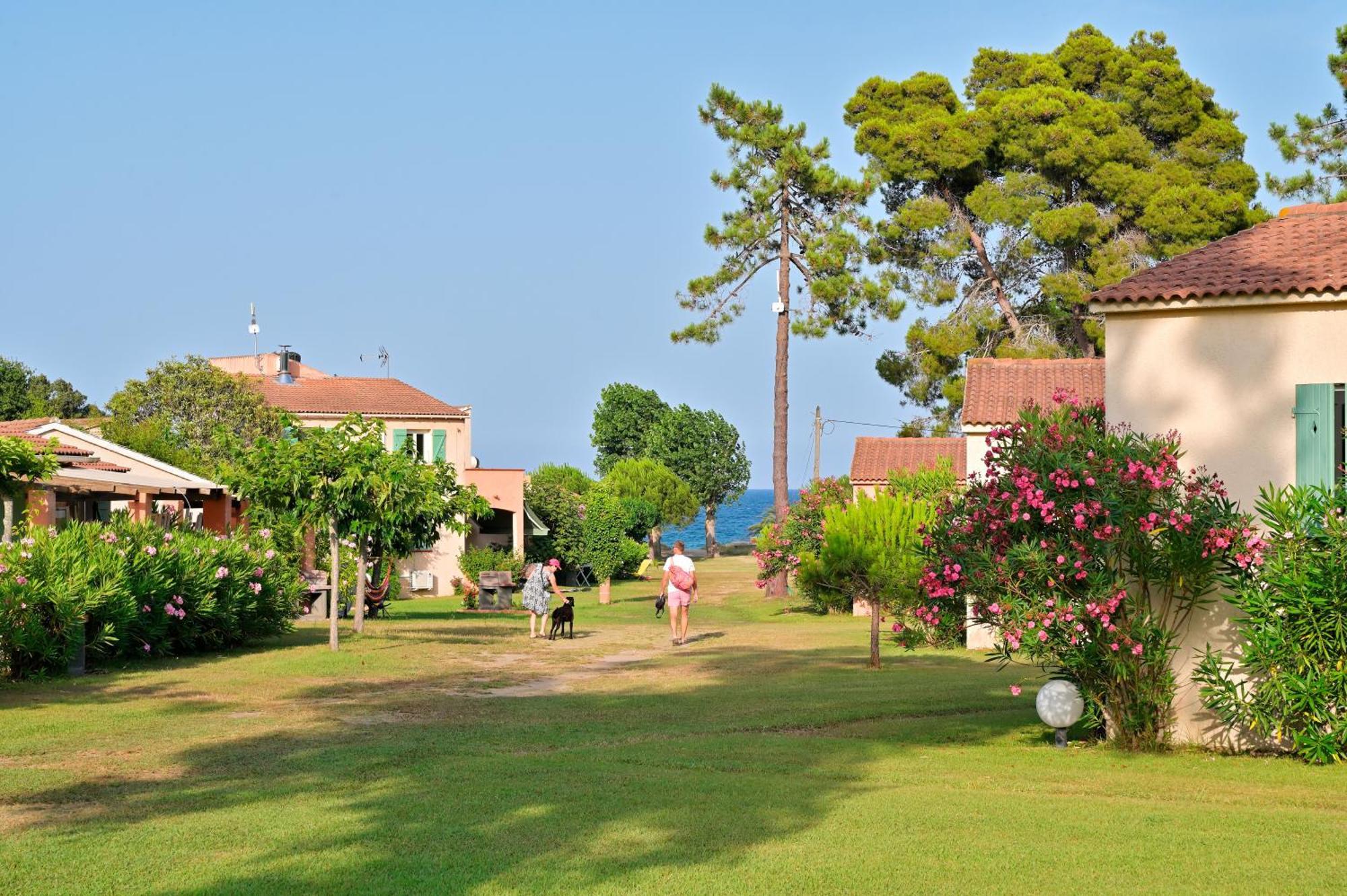 Pinea Mare Otel Poggio Mezzana Dış mekan fotoğraf